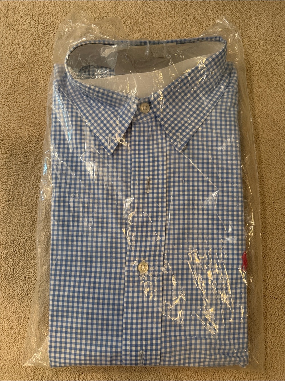 Ralph Lauren Men's Blue Gingham Button-Down Shirt